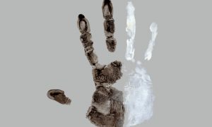 “Irkçı Polis Kontrolleri Anayasaya Aykırı”