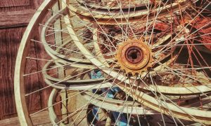 “İslam Reformu Talepleri Sıkıntılı”