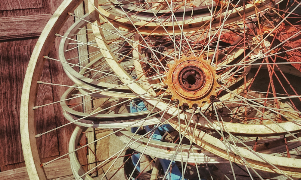 “İslam Reformu Talepleri Sıkıntılı”