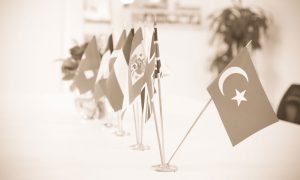 Irkçılar İçin Elverişli Bir Zemin: “Türkiye Eleştirisi”