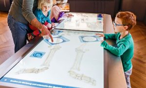 İslam Din Dersinde Öncü Ülke: Avusturya