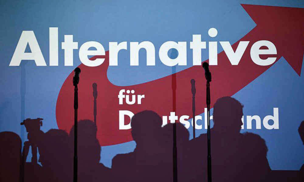 AfD Almanya medyanın rolü