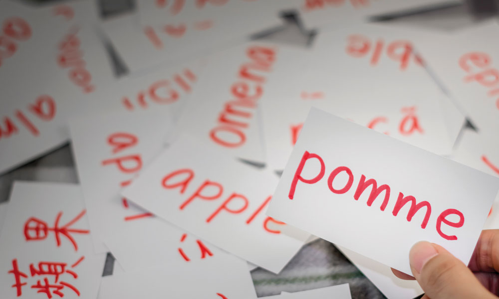 Fransa’daki Türk Toplumunun Türkçe İle İlişkisi