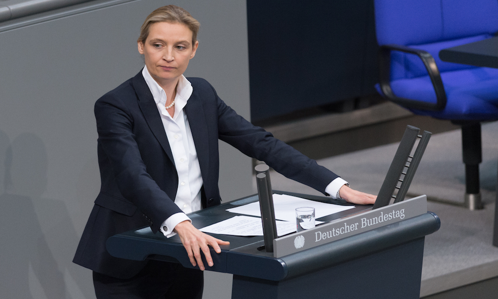 Alice Weidel hakaret