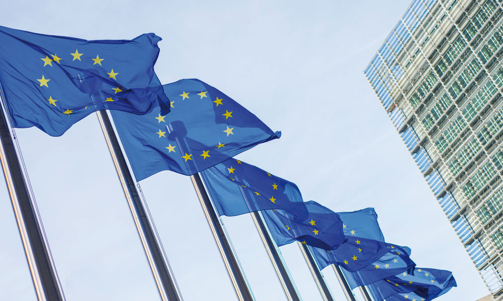 avrupada ayrımcılık