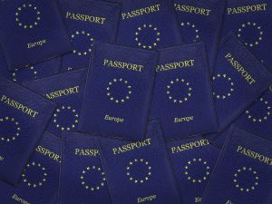 AB’de 2020’de 729 Bin Vatandaşlık Başvurusu Kabul Edildi