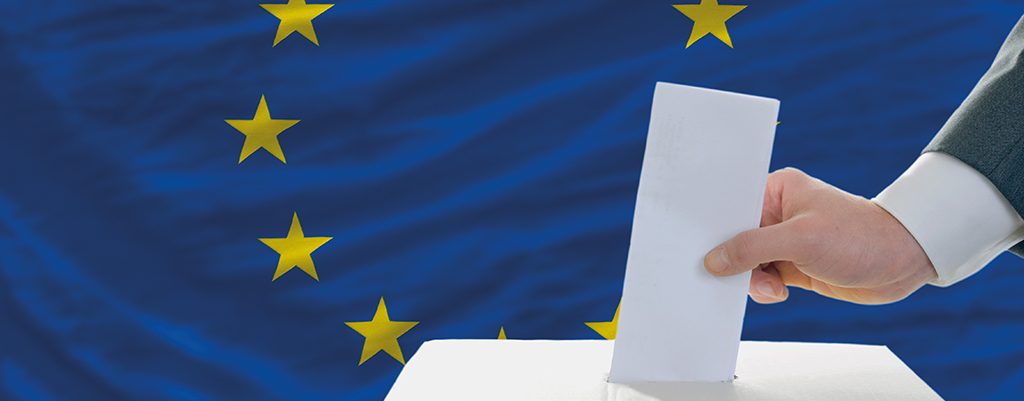 “Aşırı Sağın Gölgesinde AP Seçimleri”