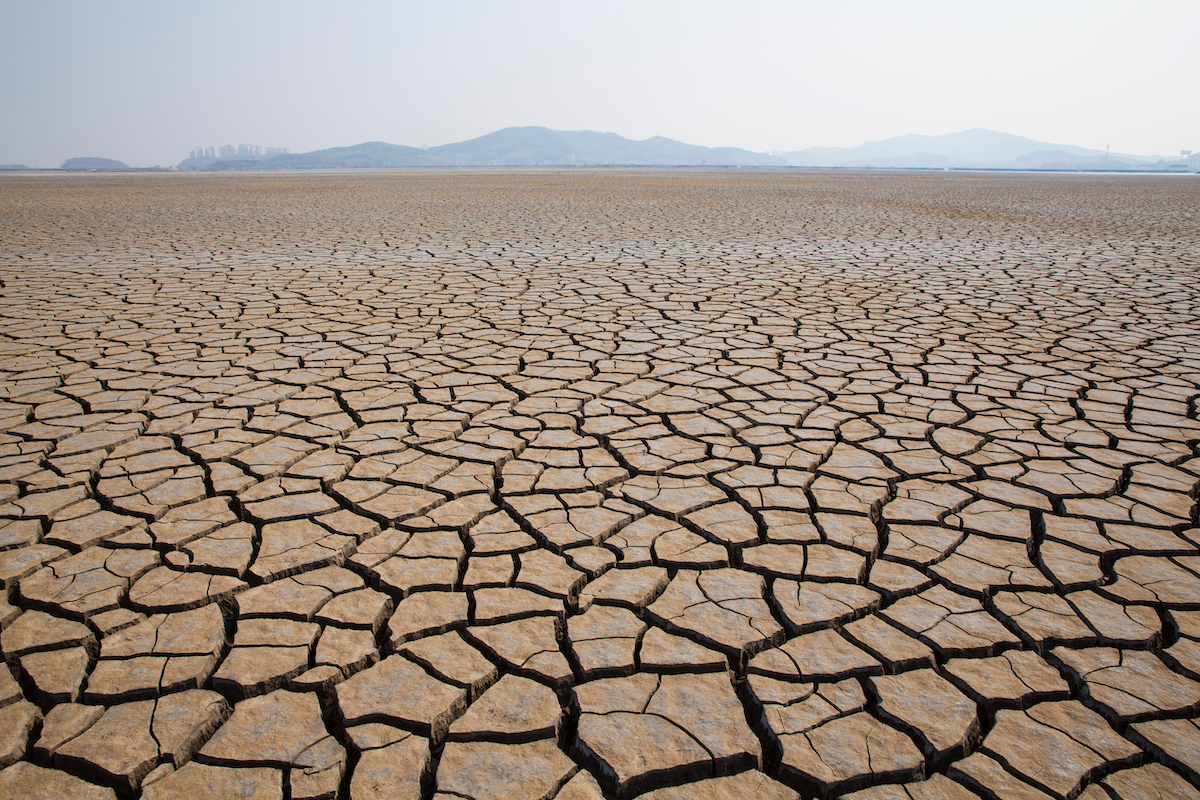 İklim Değişikliği