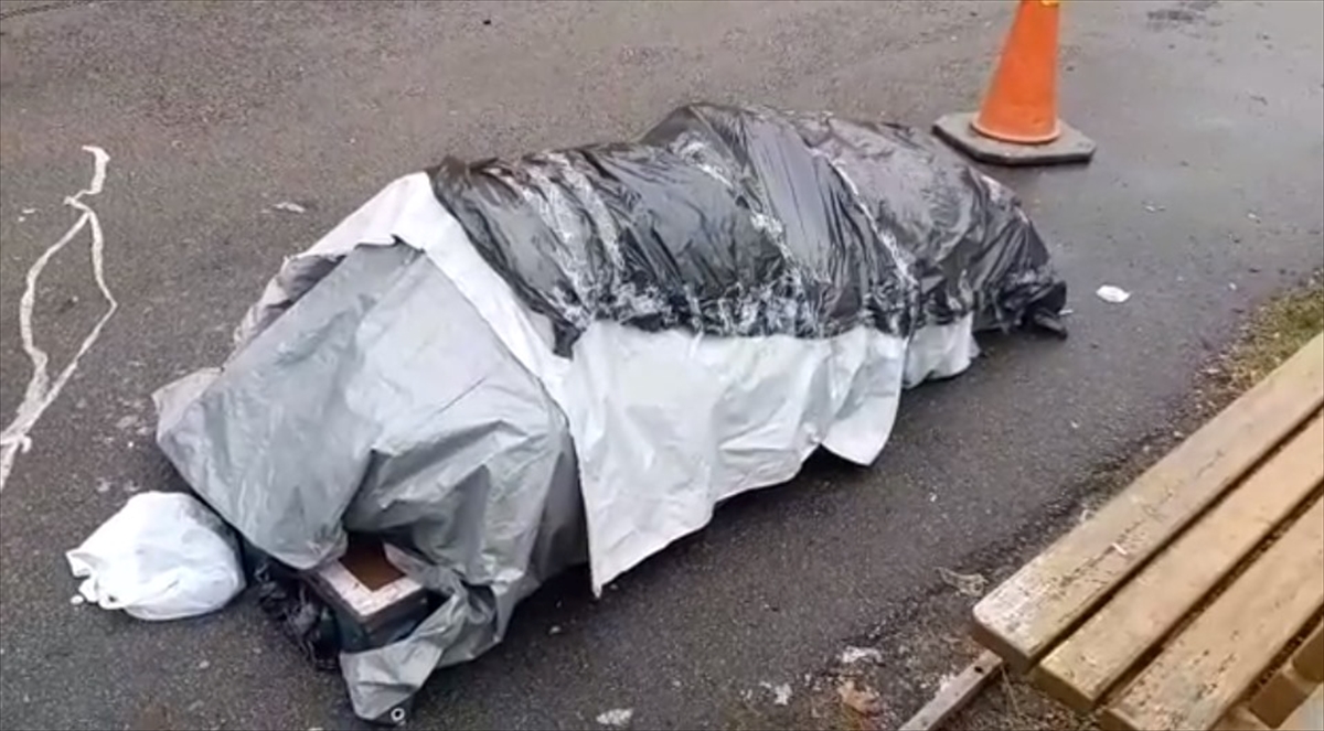 Filistinli Sığınmacı