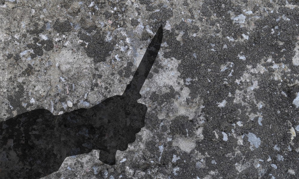 ırkçı saldırı almanya