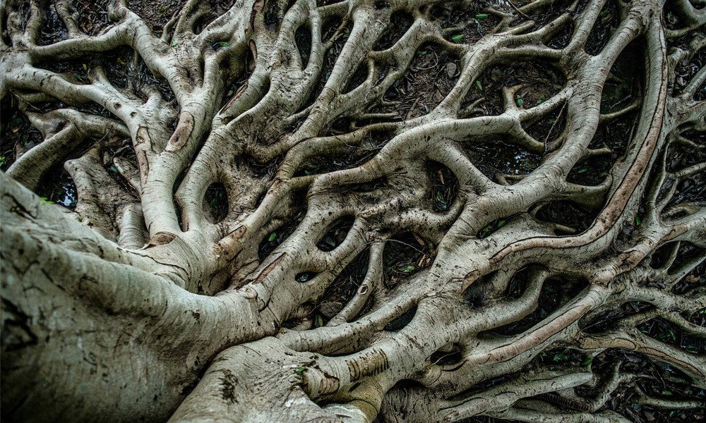 pozitif radikallik mümkün mü