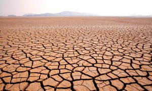 Temmuz Ayında Birçok Ülke İklim Değişikliğinin Etkileriyle Boğuştu