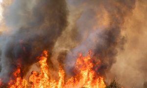 Almanya’da Irkçı Saldırı Gerçekleştirmekle Suçlanan Kişi Gözaltına Alındı