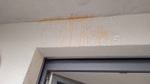 Türkiye Kökenli Aileye İki Hafta İçerisinde İki Ayrı Saldırı