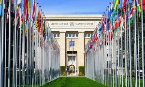 BM Üyesi 50 Ülkeden Çin’e Uygur Türkleri Çağrısı