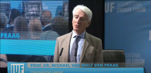 “Çin, Uluslararası Protestoları Dikkate Almıyor”