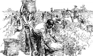 Sömürgecilikte Öncü Olmak: İngiliz Sömürgecilik Tarihi