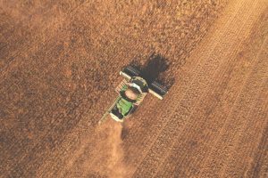 Tahıl Koridorunun Sonu Gıda Enflasyonuna mı Çıkıyor?