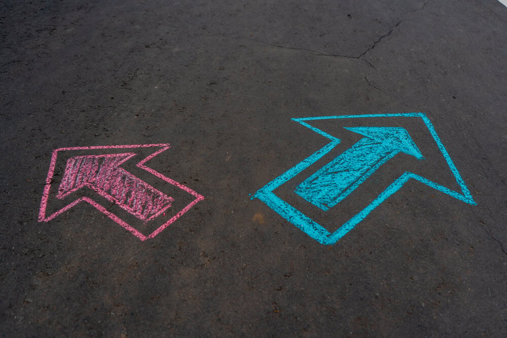 Biyolojik ve Sosyal Bir Mesele Olarak Cinsiyet