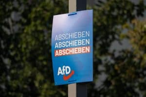 “Karşıma Çıkan 3 Kişiden Birinin AfD’yi Seçtiğini Bilmek Korkutucu”