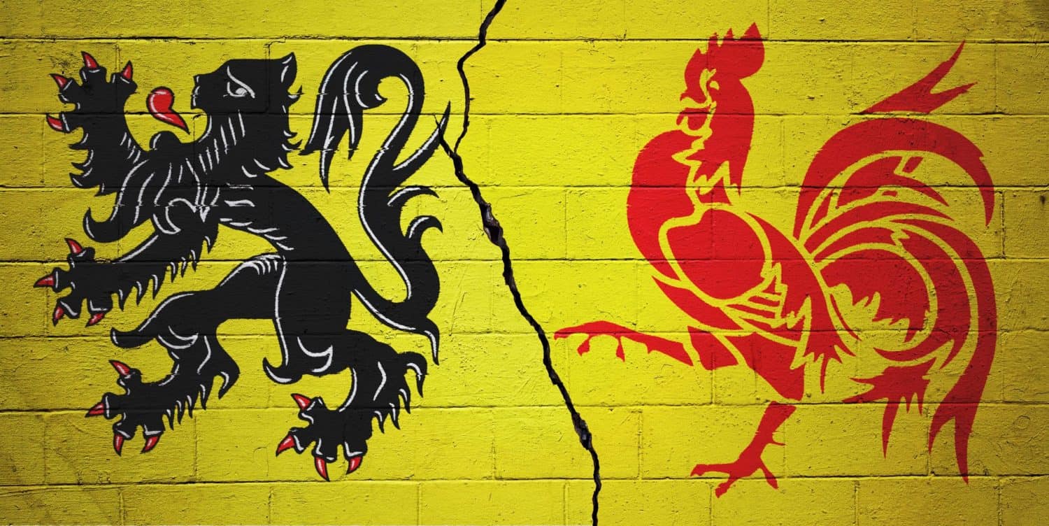 Belçika'da Valon ve Flaman Seçmenleri Hakkındaki Klişeler Sona mı Eriyor?