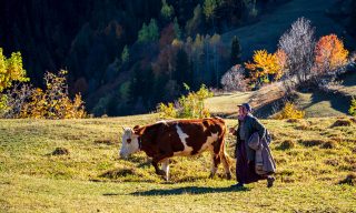 Türkiye Artık İzin İçin Tek Alternatif Değil (mi?)