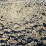 Gazze’de Ölü Sayısı: İsrail İnkâr Ettiği Verileri Askerî Raporlarında Kullanıyor